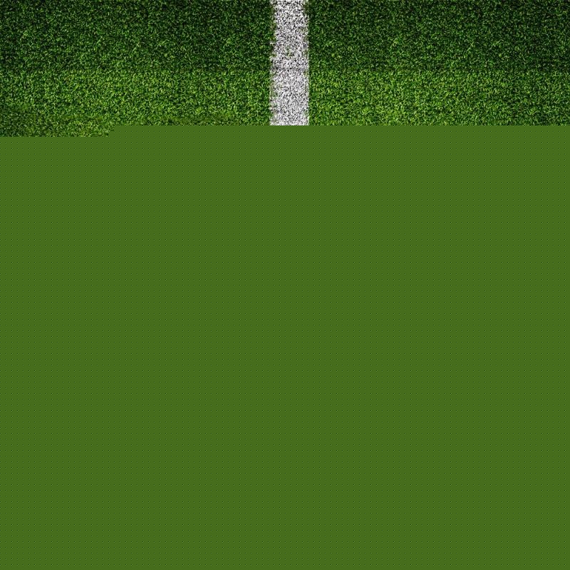 也是联赛品 也是联赛品