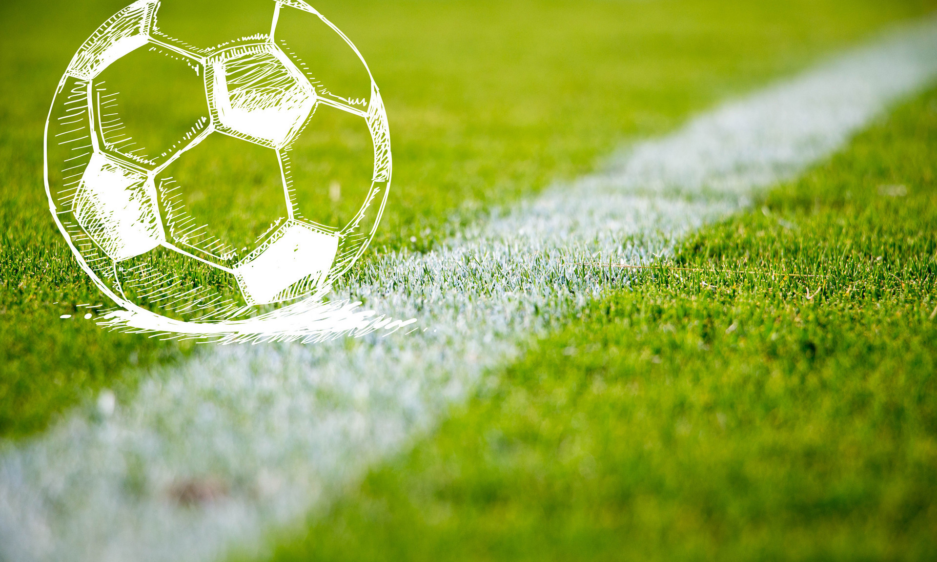 他们必须在 他们必须在