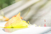 正因如此 正因如此